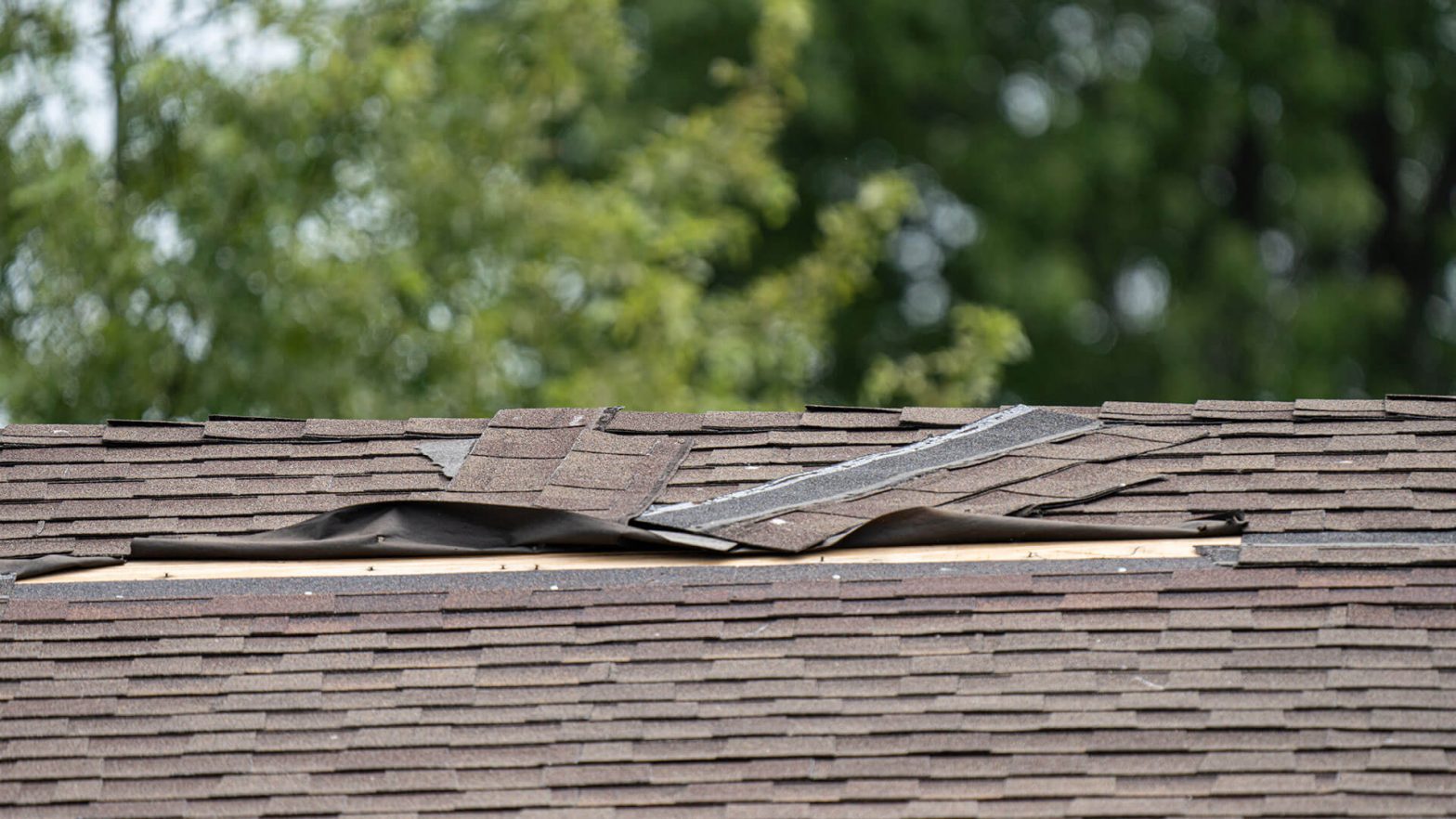 damaged shingle roof hero